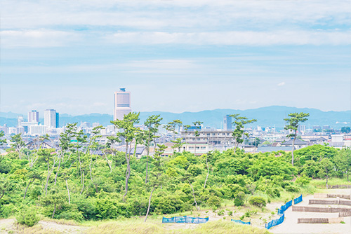 多肉植物の聖地「遠州三河エリア」からお届け